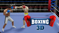 Boxing 3D